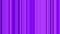Colorful striped sequence pattern background, 4K. Abstract purple motion graphics background for clubs, shows, animation