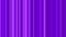 Colorful striped sequence pattern background, 4K. Abstract purple motion graphics background for clubs, shows, animation