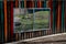 Colorful striped wooden fence with a window for watching animals in the corral of the zoo park. mesh window for a safe view of the