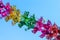 Colorful Sukkot or Sukkos or Christmas tinsel. Festive background. Green, purple, yellow, pink tinsel over blue sky.