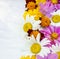 Colorful summer flowers on white table