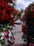 Colorful summer petunia planter on sidewalk