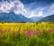 Colorful summer view of blossom valley