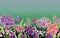 Colorful summer wide banner. Vivid iberis flowers with green leaves on gradient green background. Horizontal template.