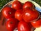 Colorful Sunlit Red Tomatoes in a Bowl