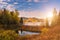 Colorful sunny autumn landscape with golden colored trees