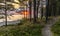 Colorful sunrise in forest and dune beach of the Baltic Sea