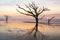 Colorful sunrise and live oaks reflected on the beach at Botany Bay on Edisto Island near Charleston, SC.