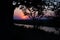 Colorful sunset in the african bush. Acacia trees silhouette in backlight. Cold toned, blue purple clear sky.