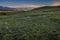 Colorful sunset with dark grass in the foreground and sheep in front of rolling green hills in Inner Mongolia