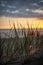 colorful sunset over calm sea beach with dark blue water and dramatic contrasty clouds