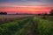 colorful sunset over endless fields of harvest moon