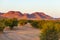 Colorful sunset over the Namib desert, Namibia, Africa. Mountains, dunes and Acacia trees silhouette in backlight. Orange red clea