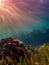 Colorful sunset on the shallow coral reef in the Carribbean Sea, Roatan, Honduras