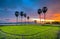 Colorful sunset sugar palms on the rice field.