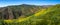 Colorful Super Bloom at Corral Canyon Panorama