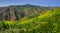 Colorful Super Bloom at Corral Canyon Panorama