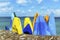 Colorful Surfboards on the beach