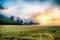 Colorful, surreal sunrise at the misty, foggy meadow