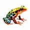 Colorful Surrealistic Harlequin Frog Clip Art With White Background