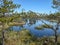 Colorful swamp in the shake,with the trees reflecting in the water