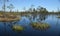 Colorful swamp in the shake,with the trees reflecting in the water