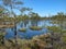 Colorful swamp in the shake,with the trees reflecting in the water