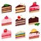 Colorful sweet cakes slices pieces on white background