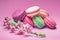 Colorful sweet macarons or macaroons, cherry flavored cookies on pink background with blooming cherry branch near them