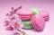 Colorful sweet macarons or macaroons, different flavored cookies on pink background with blooming cherry branch near them
