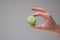 Colorful sweet macaroon cookie held in hand by Caucasian male hand. Close up studio shot, isolated on gray background