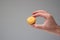 Colorful sweet macaroon cookie held in hand by Caucasian male hand. Close up studio shot, isolated on gray background