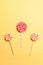 Colorful swirl lollipops on a yellow background. National Candy Day.