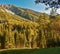 Colorful swiss autumn landscape in Filisur