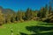 Colorful swiss autumn landscape with sheep in Filisur