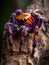 Colorful tarantula spider sitting on the branches of a tree macro photo Generative AI