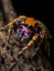 Colorful tarantula spider sitting on the branches of a tree macro photo Generative AI