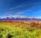 Colorful Tatra mountains in Summer