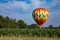 Colorful Teardrop Shaped Hot Air Balloon Over Corn Field on Sunny Day with Trees and Cloudy Blue Sky