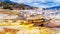 The colorful terraces of the Grassy and Trail Springs on the Main Terrace in the Mammoth Springs, Yellowstone National Park, USA