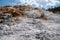 The colorful terraces of hot springs in the Mammoth Hot Springs area of Yellowstone National Park