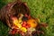 Colorful thanksgiving autumn basket with fruits