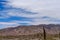 Colorful Tintin Mountains and cardoon cacti, Trichocereus pasacana, in the Enchanted Valley. Location: Cardon National Park,