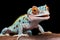 Colorful tokay gecko, known for vibrant blue and orange markings, tropical reptile