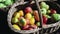 Colorful tomatoes, red, yellow, orange, green in vintage wicker basket on farm in summer