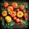 Colorful tomatoes - red,yellow , orange. Harvest vegetable cooking conception.