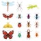 Colorful top view insects icons isolated on white wildlife wing detail summer worm and caterpillar bugs wild spider bee