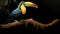 Colorful Toucan On Branch: Hyperrealistic Mural Inspired By History Painting