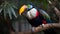 Colorful Toucan Perched on Tree Branch