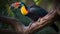 Colorful Toucan Perched on Tree Branch